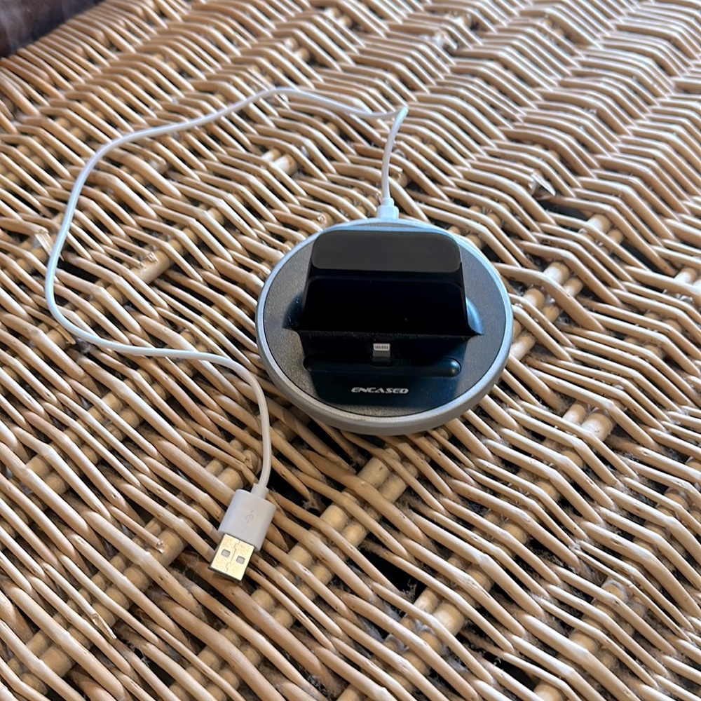 iPhone charger